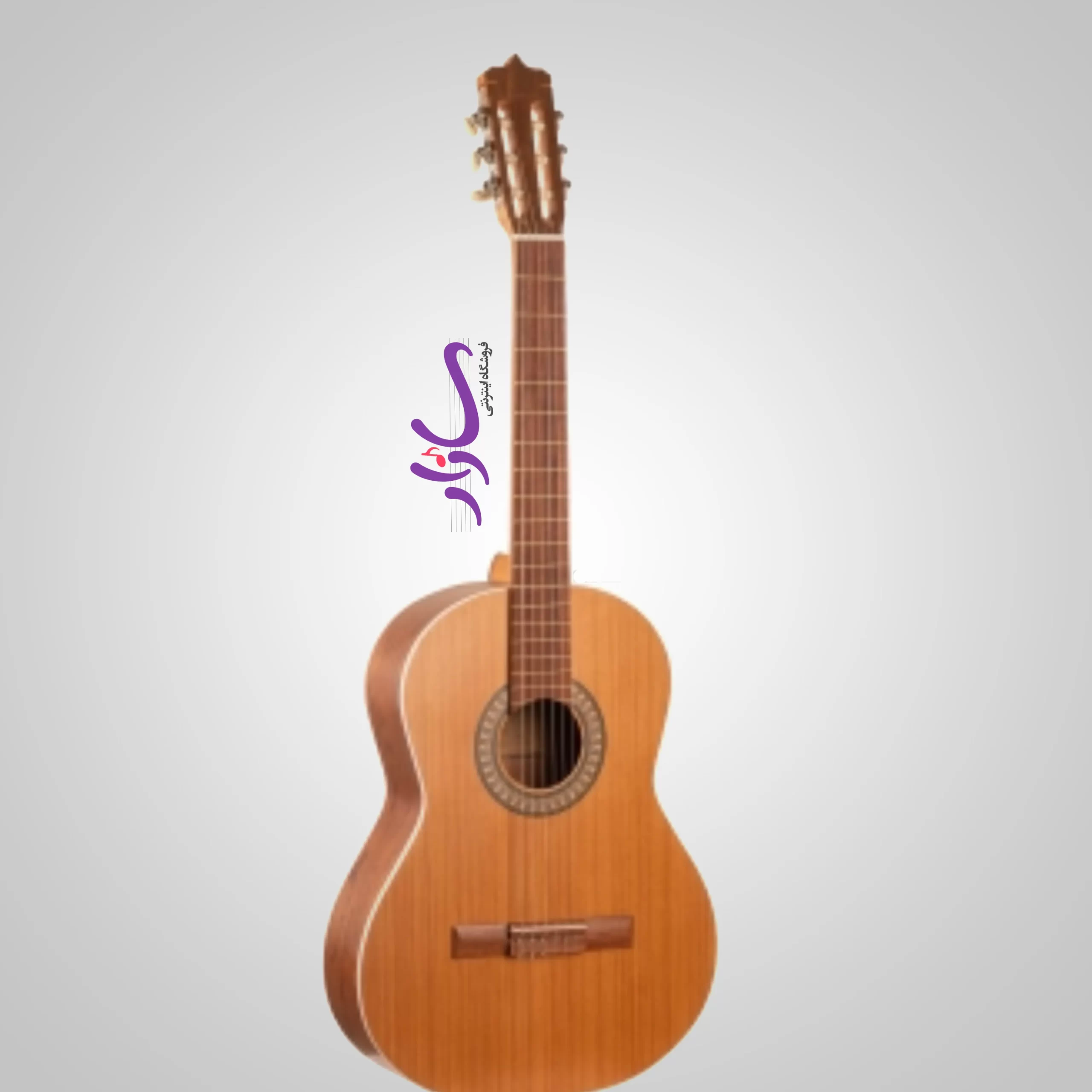 گیتار کلاسیک پارسی مدل D6