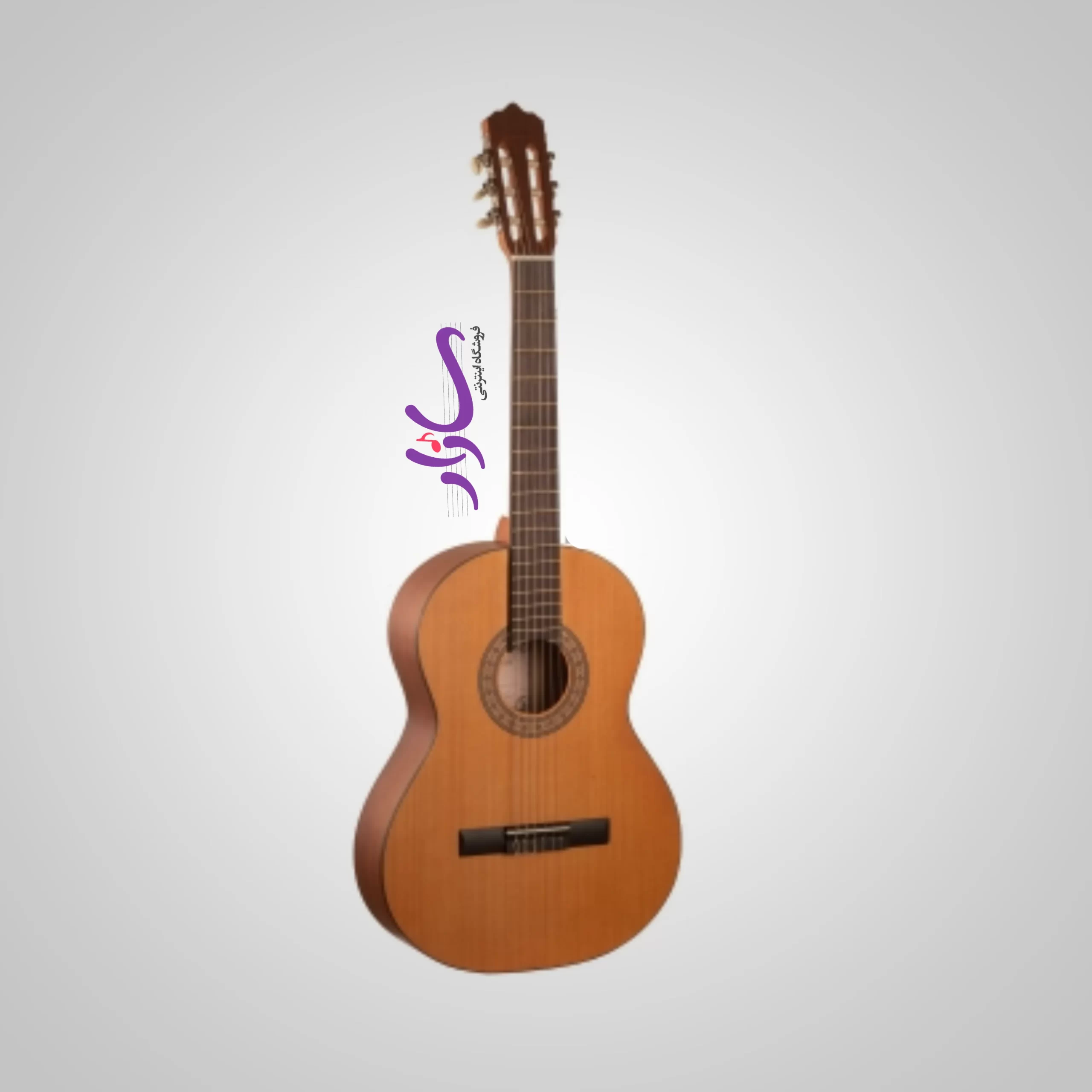 گیتار کلاسیک پارسی مدل M2