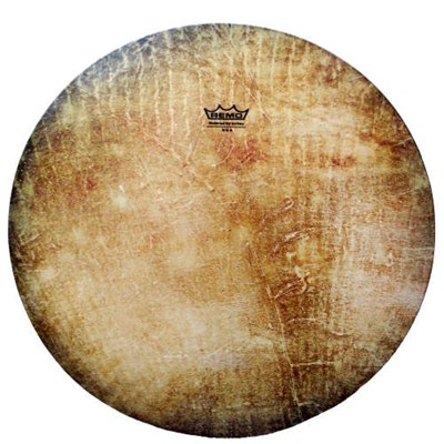 دف سما نوجوان