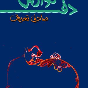 نوازش دف صادق تعریف