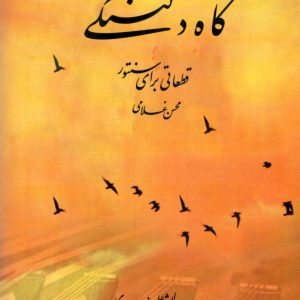 گاه دلتنگی قطعاتی برای سنتور محسن غلامی ،علیرضا جواهری